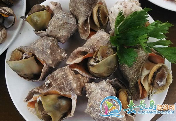 長島美食（海螺）