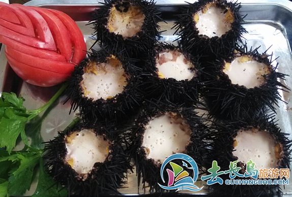 11長島美食（海膽）