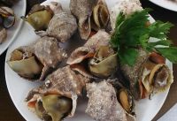 長島美食（海螺）