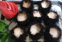 11長島美食（海膽）